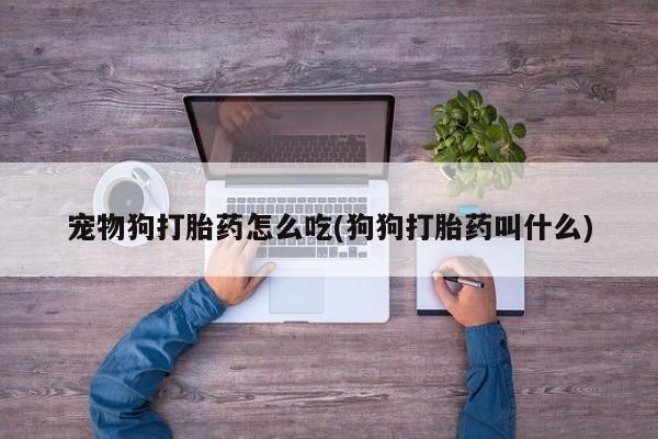 求买打胎药微信号宠物狗打胎药怎么吃(狗狗打胎药叫什么)