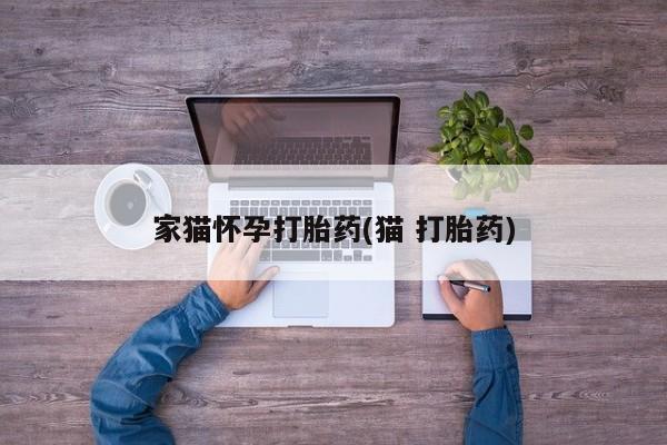 求买打胎药微信号家猫怀孕打胎药(猫 打胎药)